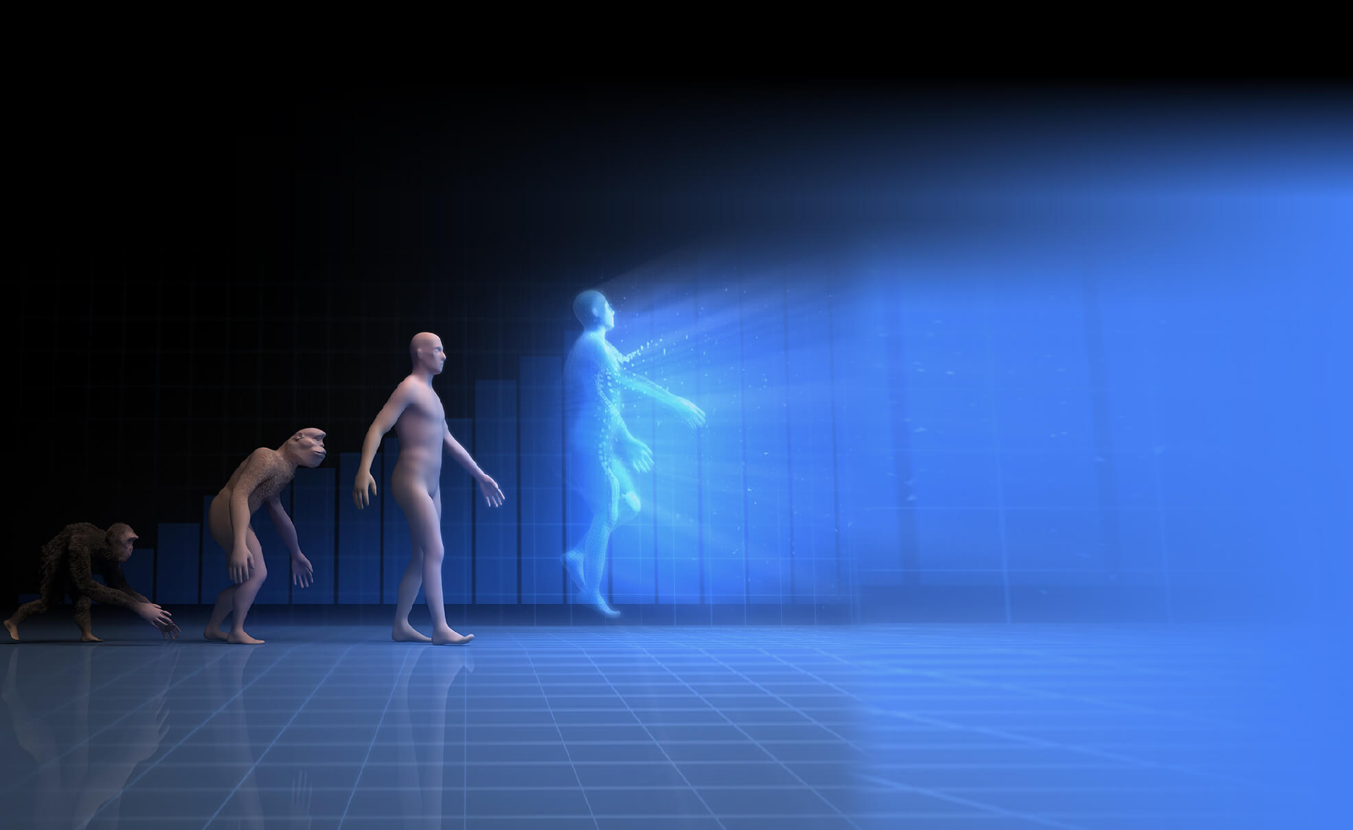 Implementing Sapiens