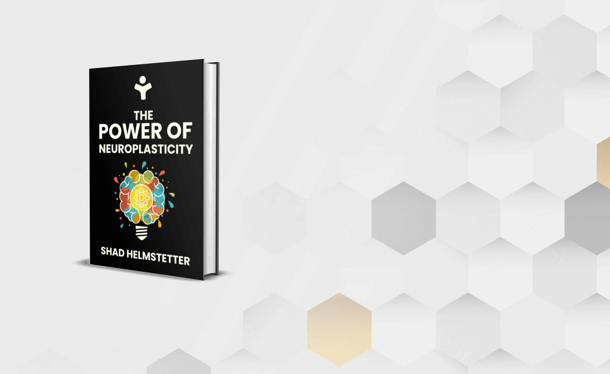 The Power of Neuroplasticity