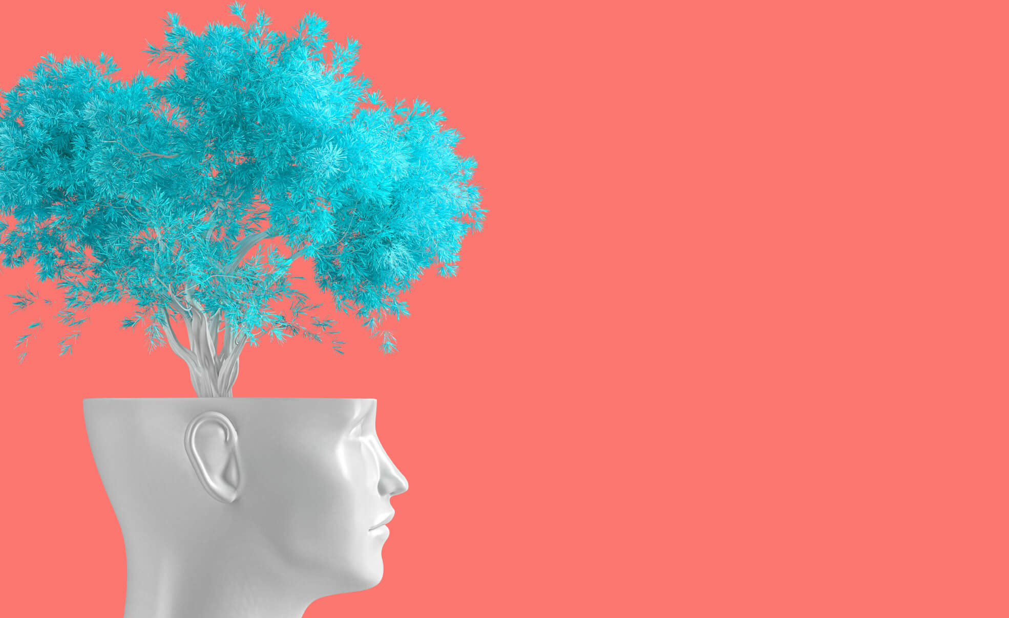 Get into the flow state