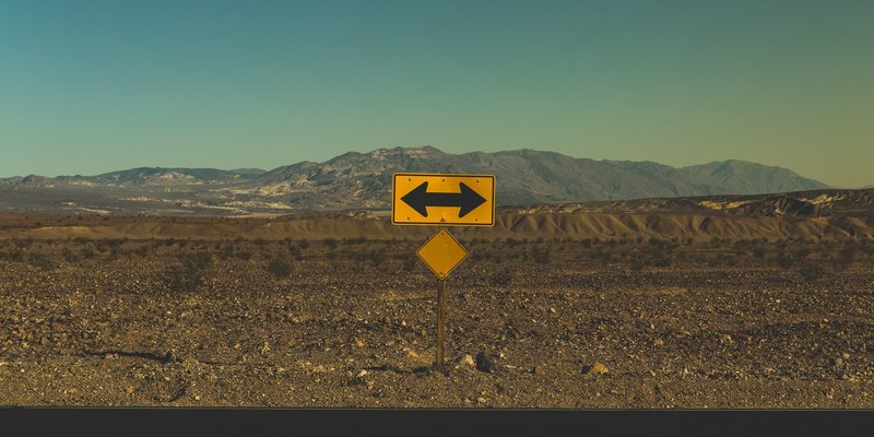 Why wealth helps you make better decisions. 3 Major Points